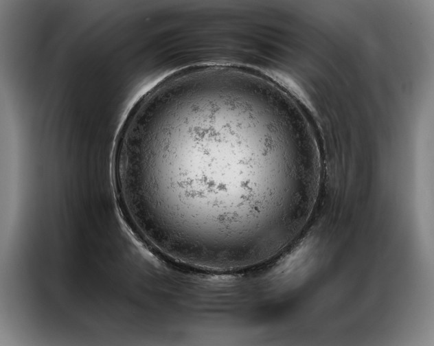 X0000087310839200704201209