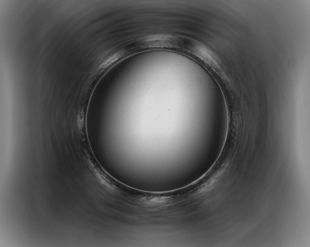 X0000087310841200704201209