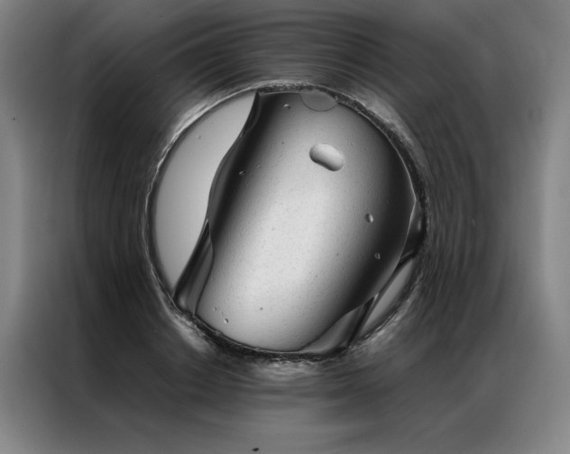 X0000087310842200704201209