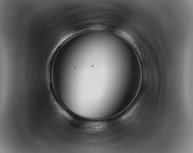 X0000087310843200704201209