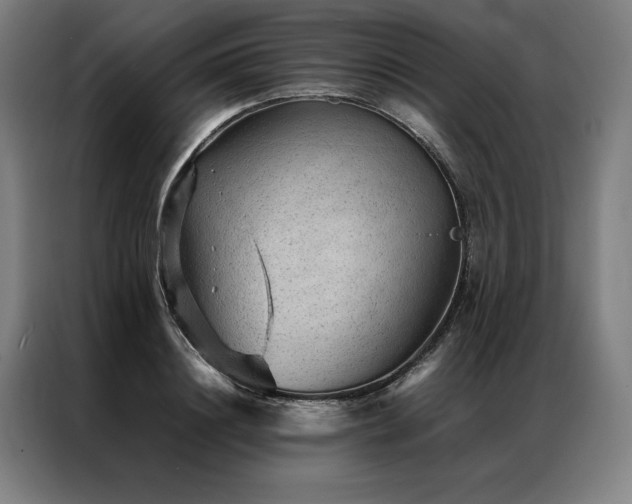 X0000087310844200704201209