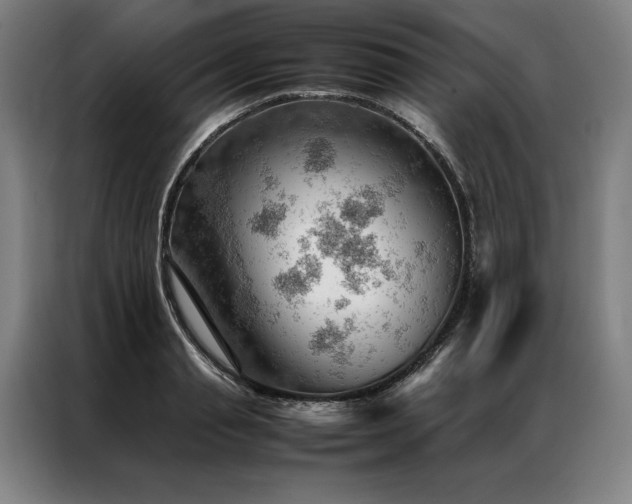 X0000087310845200704201209