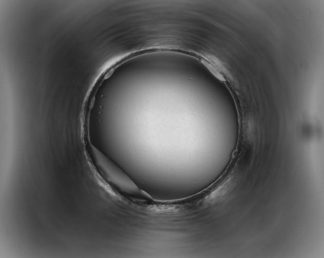 X0000087310846200704201209
