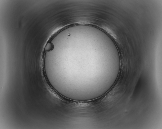 X0000087310848200704201209