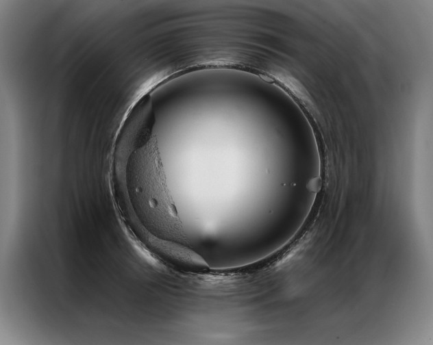 X0000087310850200704201209