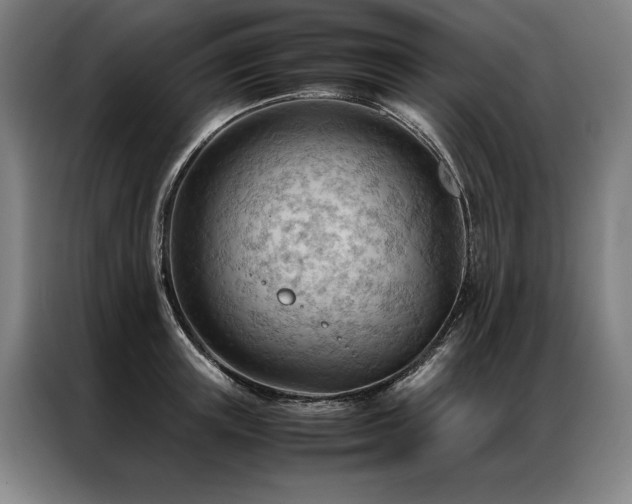 X0000087310851200704201209