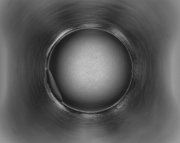 X0000087310852200704201209