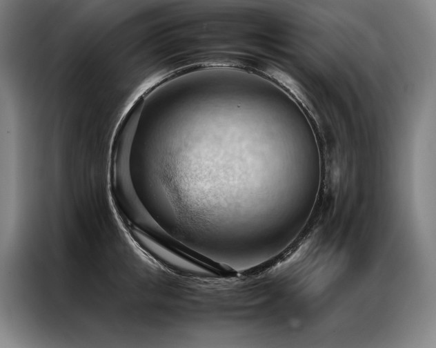 X0000087310853200704201209