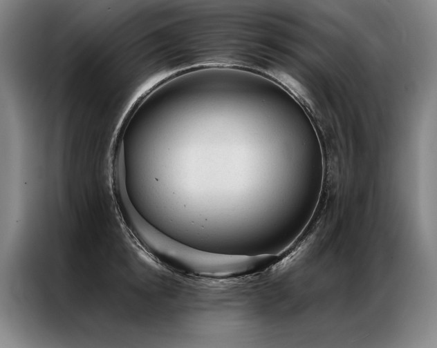 X0000087310854200704201209