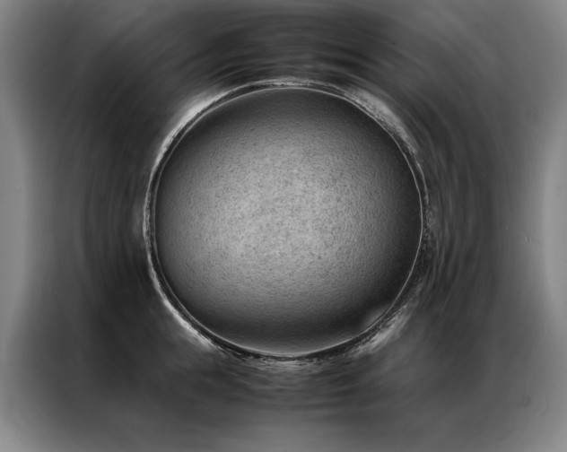 X0000087310855200704201209