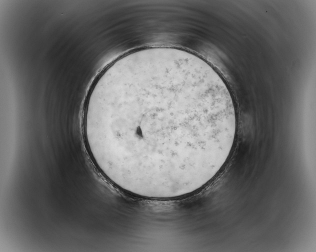 X0000087310856200704201209