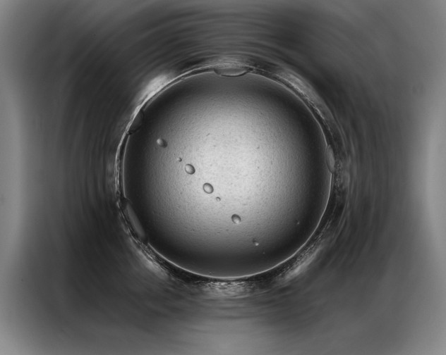 X0000087310858200704201209