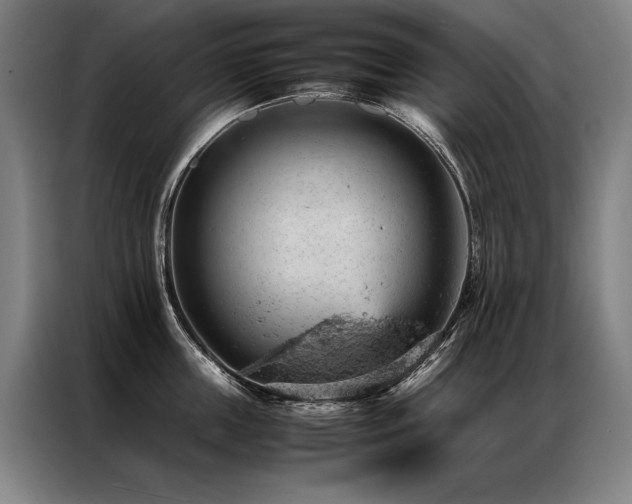 X0000087310859200704201209