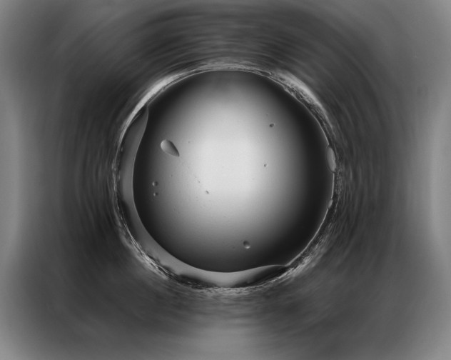 X0000087310860200704201209