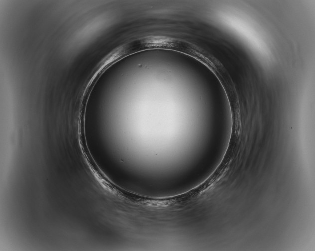 X0000087310861200704201209