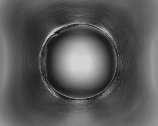 X0000087310862200704201209