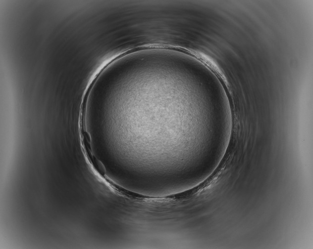 X0000087310863200704201209