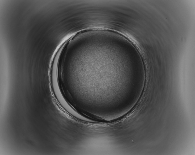 X0000087310864200704201209