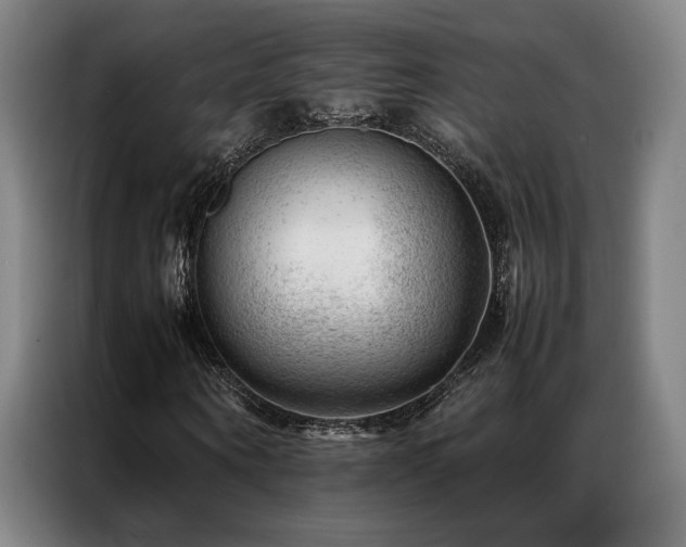 X0000087310866200704201208