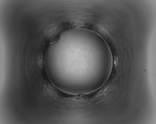 X0000087310867200704201208