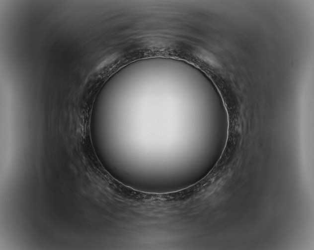 X0000087310869200704201208