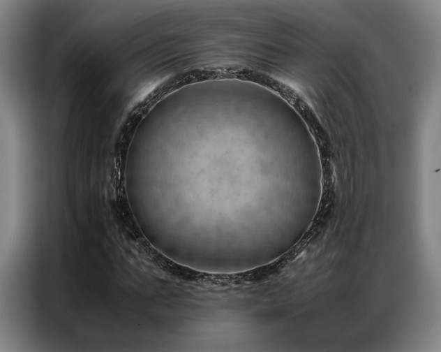 X0000087310871200704201208