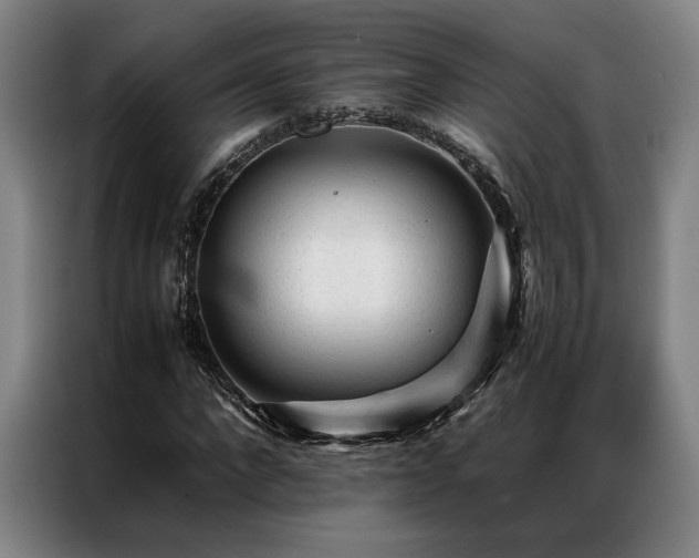 X0000087310872200704201208