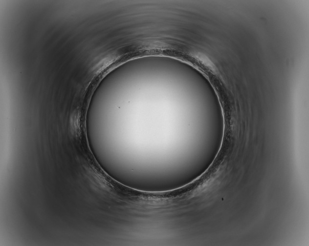 X0000087310873200704201208