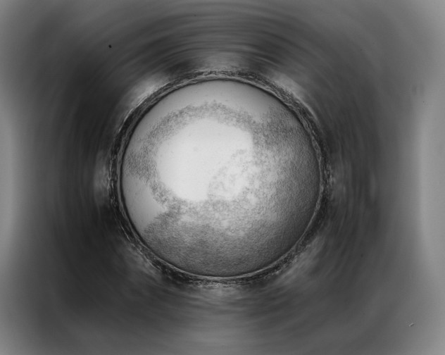 X0000087310874200704201208
