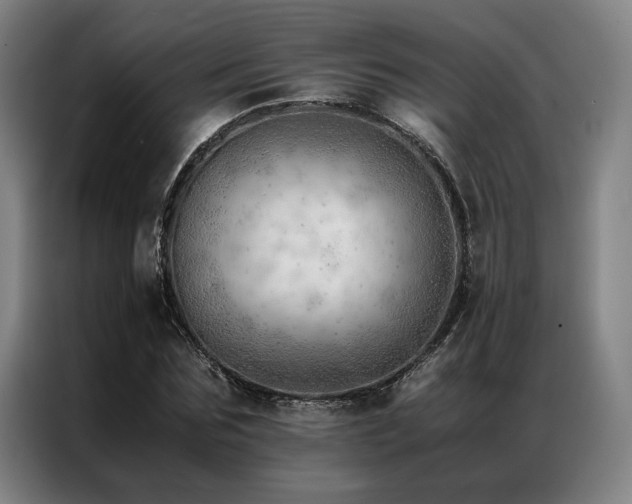 X0000087310875200704201208