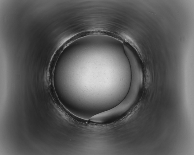 X0000087310876200704201208