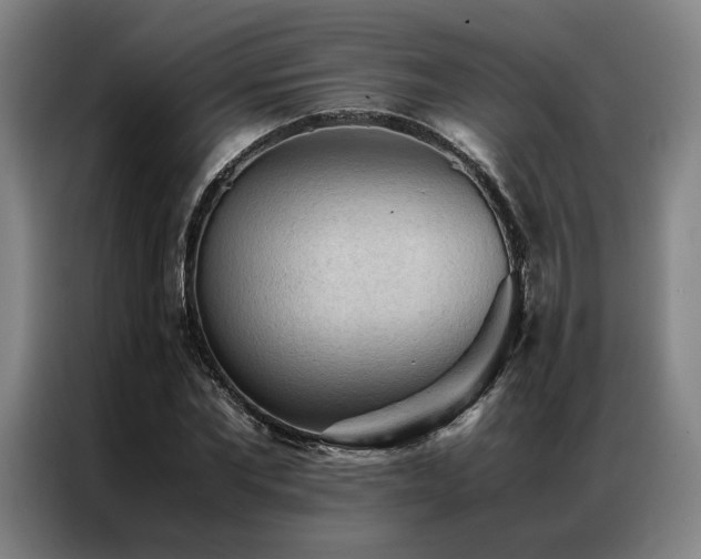 X0000087310877200704201208