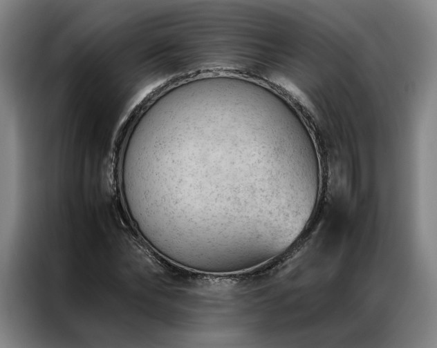 X0000087310878200704201208