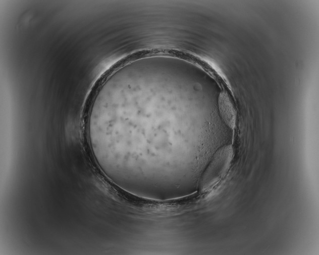 X0000087310879200704201208