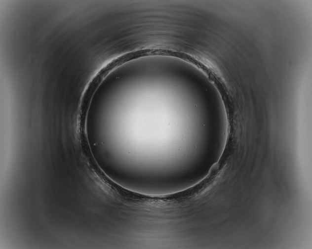 X0000087310880200704201208