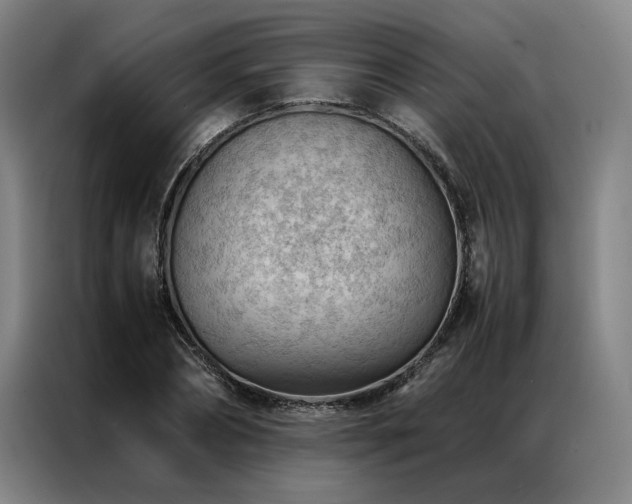 X0000087310882200704201208