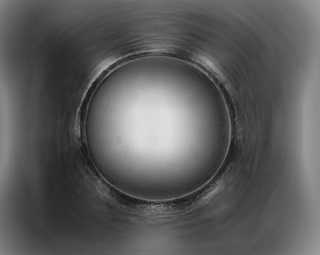 X0000087310883200704201208
