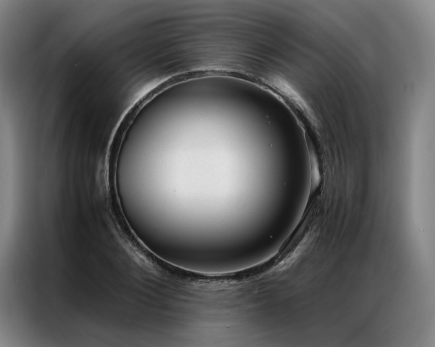 X0000087310884200704201208