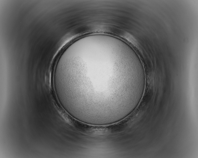 X0000087310886200704201208