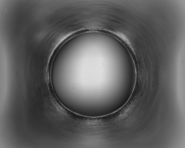 X0000087310887200704201208