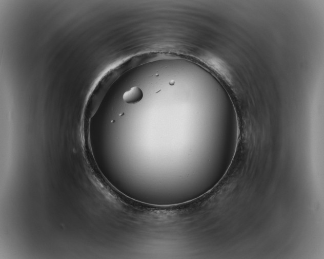 X0000087310888200704201208