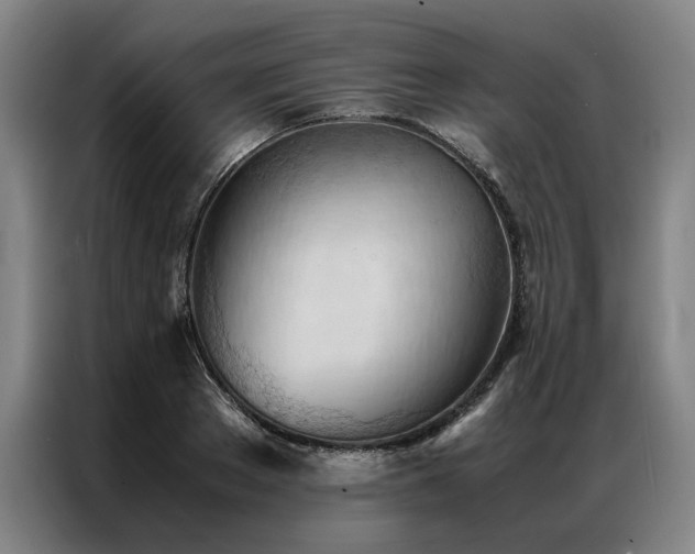 X0000087310889200704201208