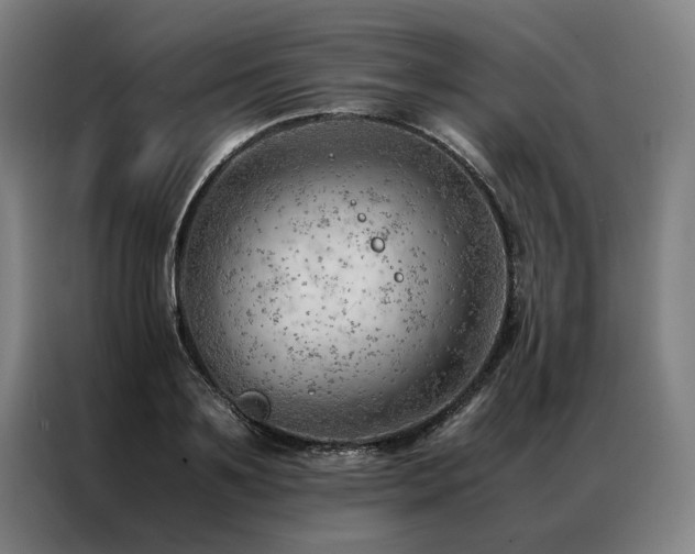 X0000087310891200704201208