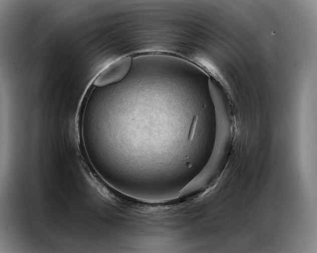 X0000087310892200704201208