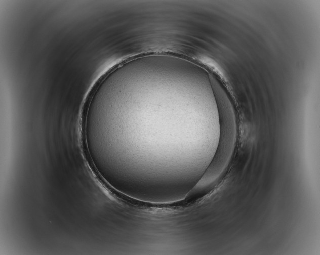 X0000087310894200704201208