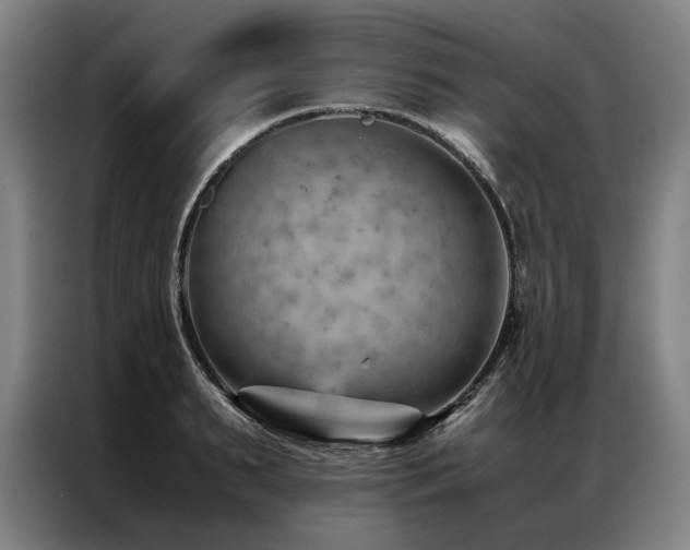 X0000087310895200704201208