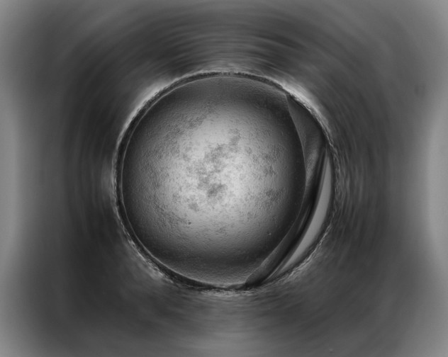 X0000087310896200704201208