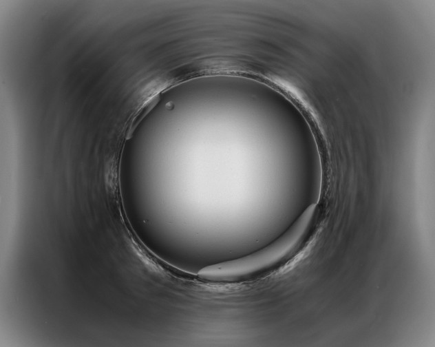 X0000087310897200704201208