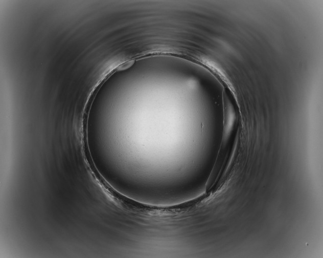 X0000087310898200704201208