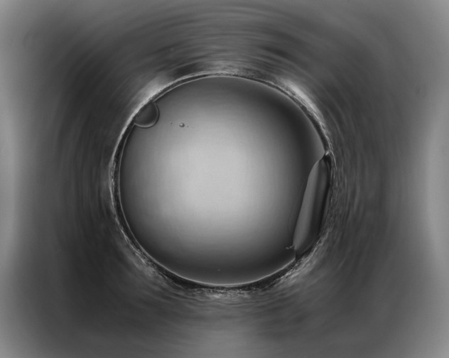 X0000087310899200704201208